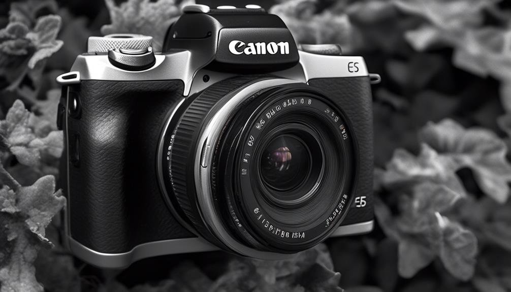 compact mirrorless camera with 4k video
