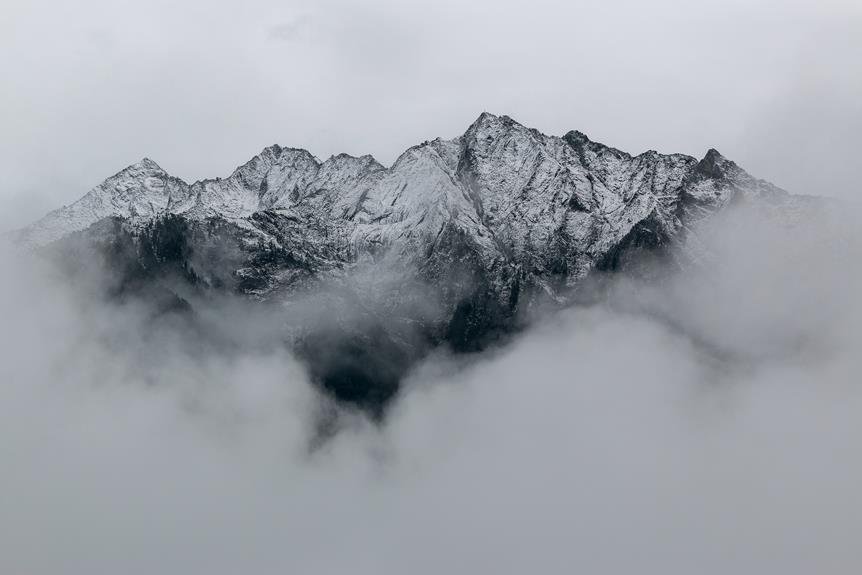 mastering high resolution electronic viewfinders